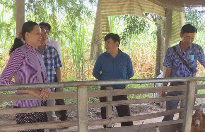 Giảm nghèo - Đến cuối năm 2020 tỷ lệ hộ nghèo tỉnh Sóc còn dưới 3% (28-12-2020)